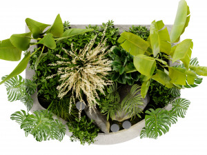 Collection Plant Vol 442 - Blender Model 3D 模型