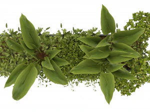 Collection Plant Vol 241 - Blender Model 3D Model
