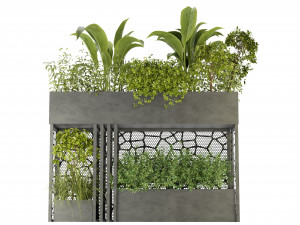 Collection Plant Vol 241 - Blender Model 3D मॉडल