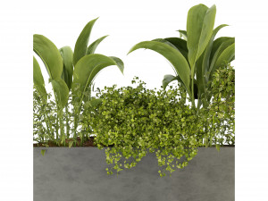 Collection Plant Vol 241 - Blender Model 3D मॉडल