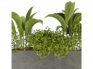 Collection Plant Vol 241 - Blender Model 3D Model