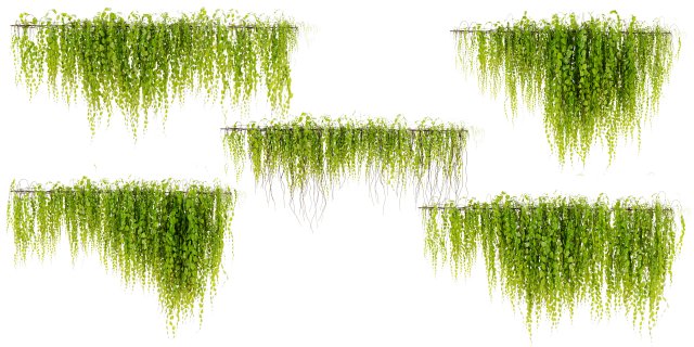 Collection Plant Vol 443 - Blender Model 3D Model .c4d .max .obj .3ds .fbx .stl .blend 