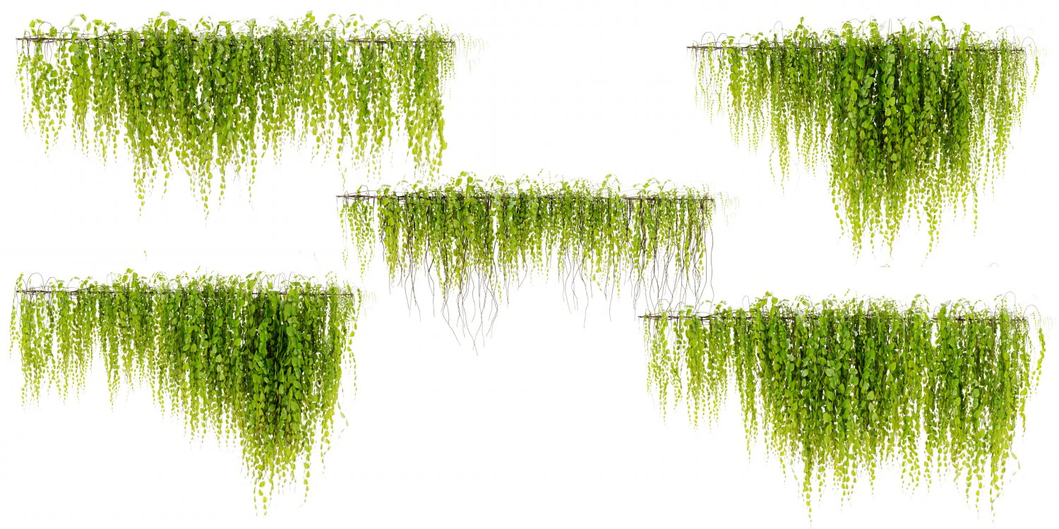 Collection Plant Vol 443 - Blender Model 3D Model .c4d .max .obj .3ds .fbx .stl .blend 