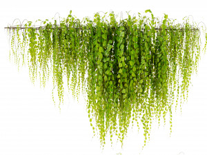 Collection Plant Vol 443 - Blender Model 3D Model