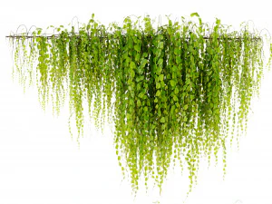 Collection Plant Vol 443 - Blender Model 3D Model