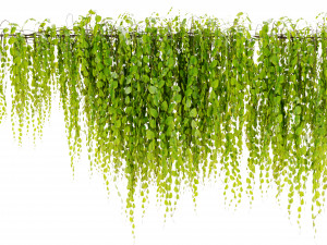 Collection Plant Vol 443 - Blender Model 3D Model