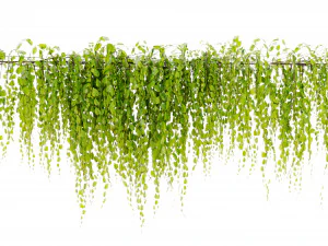 Collection Plant Vol 443 - Blender Model 3D Model