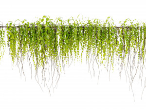 Collection Plant Vol 443 - Blender Model 3D Model