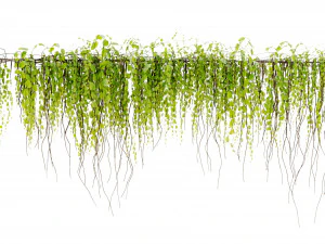 Collection Plant Vol 443 - Blender Model 3D Model