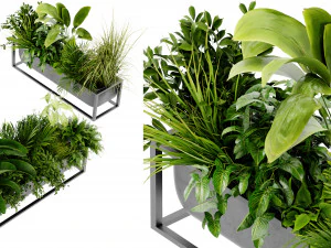 Collectie Plant Vol 444 - Blendermodel 3D Model