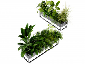 Collection Plant Vol 444 - Blender Model 3D 模型