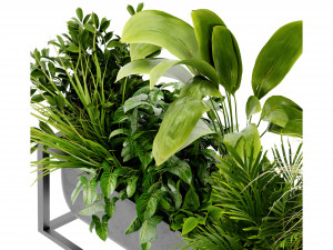 Collection Plant Vol 444 - Blender Model 3D 模型