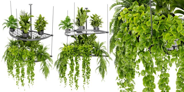 Collection Plant Vol 446 - Blender Model 3D-Modell .c4d .max .obj .3ds .fbx .stl .blend 