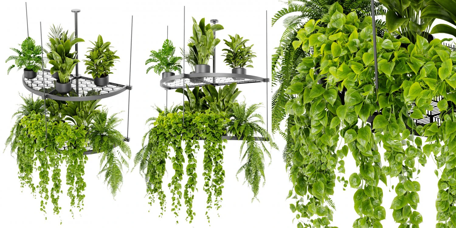 Collection Plant Vol 446 - Blender Model 3D Model .c4d .max .obj .3ds .fbx .stl .blend 