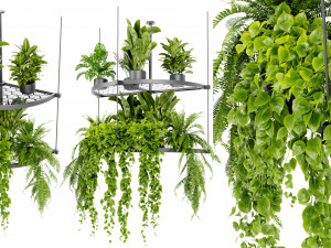 Collection Plant Vol 446 - Blender Model Modèle 3D