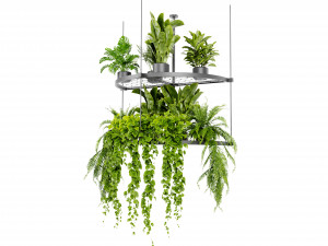 Collection Plant Vol 446 - Blender Model 3D-Modell