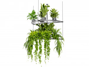 Collection Plant Vol 446 - Blender Model 3D Model