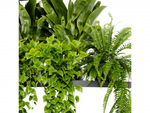 Collection Plant Vol 446 - Blender Model 3D-Modell