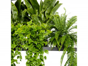 Collection Plant Vol 446 - Blender Model 3D Model