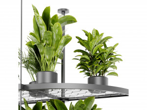 Collection Plant Vol 446 - Blender Model 3D-Modell