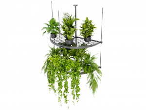 Collection Plant Vol 446 - Blender Model 3D Model