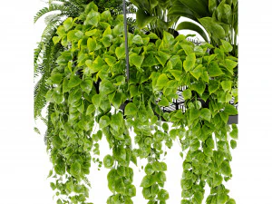 Collection Plant Vol 446 - Blender Model 3D Model