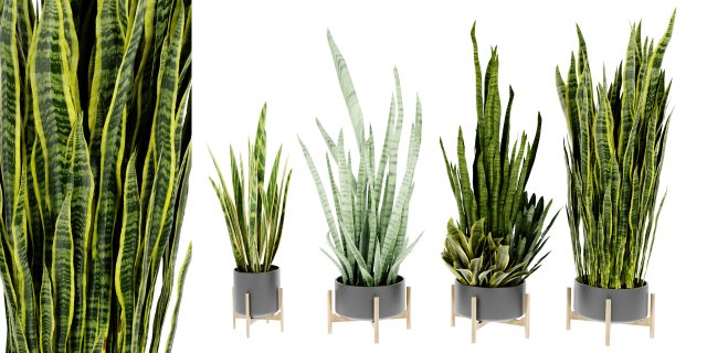 Collection Plant Vol 447 - Blender Model Modello 3D .c4d .max .obj .3ds .fbx .stl .blend 