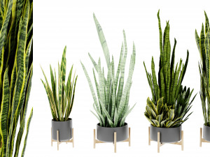 Collection Plant Vol 447 - Blender Model 3D Model