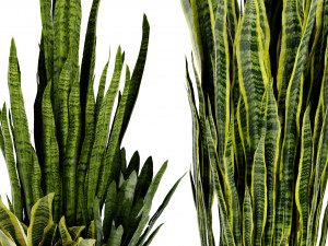 Collection Plant Vol 447 - Blender Model Modello 3D