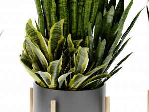 Collection Plant Vol 447 - Blender Model Modello 3D