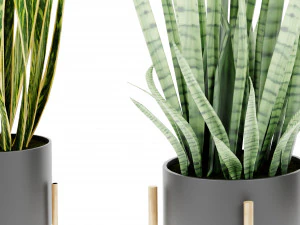 Collection Plant Vol 447 - Blender Model 3D Model