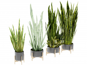 Collection Plant Vol 447 - Blender Model Modello 3D