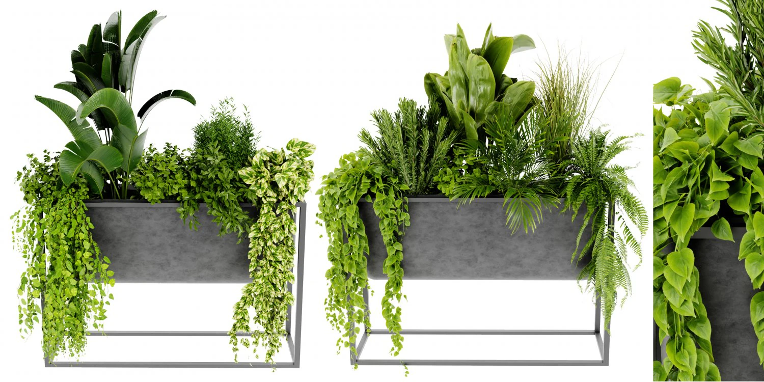 Collection Plant Vol 448 - Blender Model 3D Model .c4d .max .obj .3ds .fbx .stl .blend 