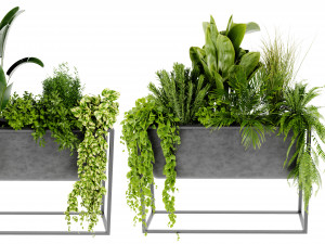 Collection Plant Vol 448 - Blender Model 3D Модель