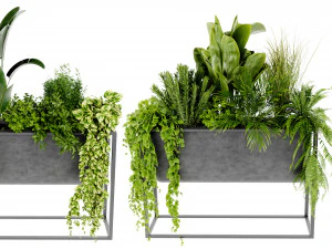 Collectie Plant Vol 448 - Blendermodel 3D Model