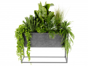 Collection Plant Vol 448 - Blender Model Model 3D