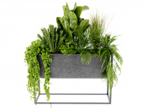 Collection Plant Vol 448 - Blender Model 3D Model