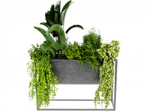 Collection Plant Vol 448 - Blender Model 3D Model