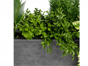 Collection Plant Vol 448 - Blender Model 3D Model