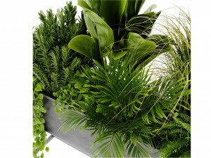 Collection Plant Vol 448 - Blender Model Model 3D