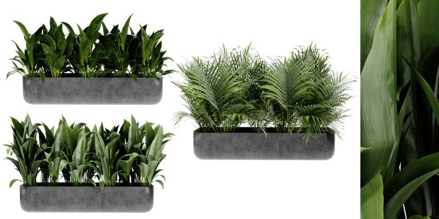 Collection Plant Vol 449 - Blender Model 3D Model .c4d .max .obj .3ds .fbx .stl .blend 