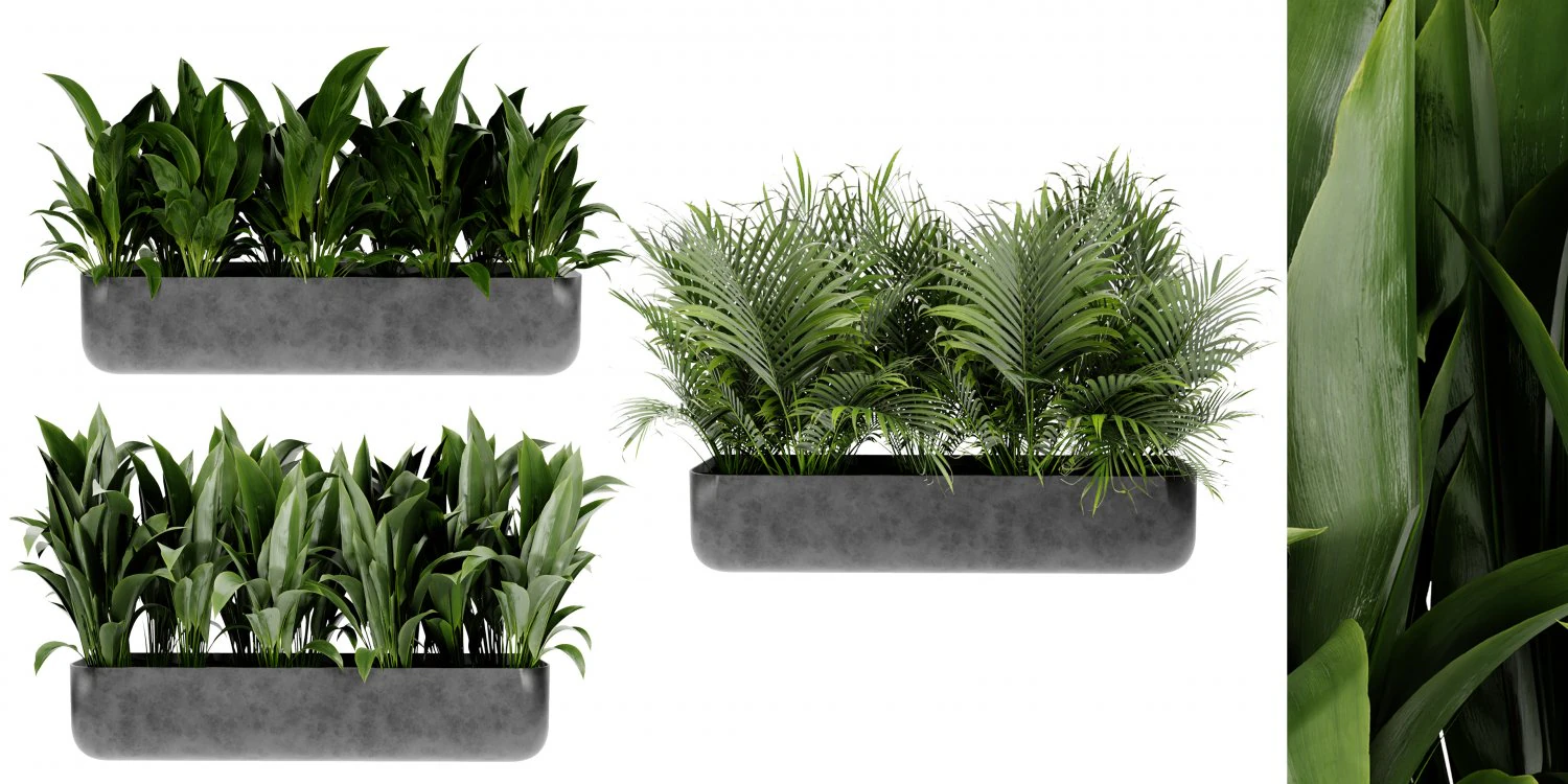 Collection Plant Vol 449 - Blender Model 3D Model .c4d .max .obj .3ds .fbx .stl .blend 