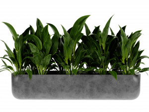 Collection Plant Vol 449 - Blender Model 3D Model