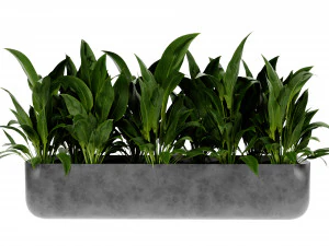 Collection Plant Vol 449 - Blender Model 3D Model