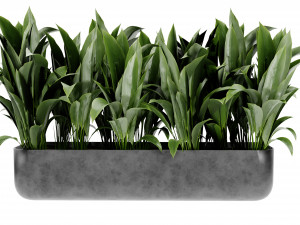 Collection Plant Vol 449 - Blender Model 3D Model