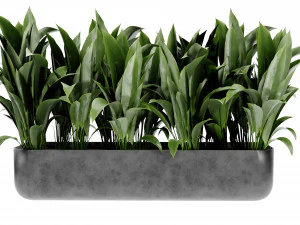 Collection Plant Vol 449 - Blender Model 3D Model