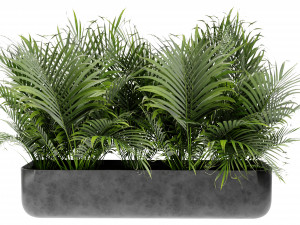 Collection Plant Vol 449 - Blender Model 3D Model