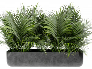 Collection Plant Vol 449 - Blender Model 3D Model