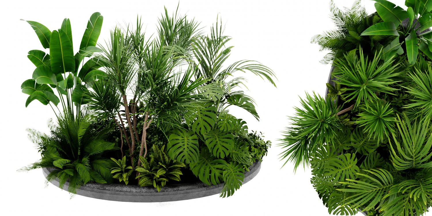 Collection Plant Vol 450 - Blender Model 3D Model .c4d .max .obj .3ds .fbx .stl .blend 