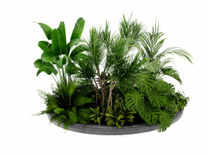 Collection Plant Vol 450 - Blender Model Modèle 3D